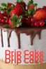 Il mio Cioccolato - 10 Ricette vegan con l'ingrediente più goloso del mondo - Ebook pdf