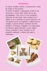 Passione biscotti - Ebook pdf